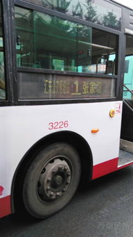 優化城市公共交通 問題反饋與改進建議